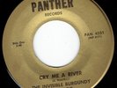 INVISIBLE BURGUNDY BULLFROG 45-1969-Cry Me A River (Panther) Garage/Punk/Psych