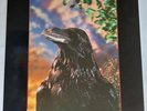The Stranglers – The Raven / Vinyl LP