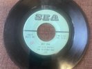 HEAR  RARE GARAGE R&B PSYCH 45 The Distortions Hot Cha Smokestack Lightning SEA