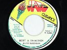 Roots Reggae 45 - Dave Robinson - Ruby & Diamonds - Jah Guidance Jamaica - mp3
