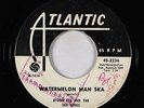 Ska 45 - Byron Lee & the Ska Kings - Watermelon Man Ska - Atlantic - mp3