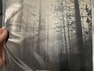 The cure : A FOREST — UK first pressing 1980 - FICSX