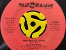 Modern Soul Funk 45 - Black Ivory - You Are My Lover - Panorama Vg+ HEAR