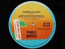 Pablo Moses - Dubbing Is A Must 12