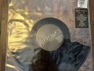 Paramore Aint It Fun Broken Record Vinyl RSD Record Store Day