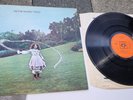 TREES ON THE SHORE 1970 UK 1st Press LP  folk/rock rarity, impressive audio VG+
