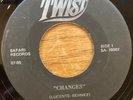 RARE 1970's ROCK 45 - TWIST on SAFARI - CHANGES - MENOMONIE WISCONSIN LABEL