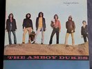 THE AMBOY DUKES - MIGRATION - VINYL S/6118 STEREO 1ST PRESS USA MINT VINYL