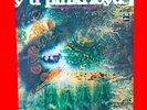 Pink Floyd A Saucerful Of Secrets Vinyl Album LP 1971 Rock Now Japanese Pressing