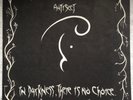 Antisect: In Darkness, There Is No Choice LP Spiderleg SDL15 Crass Conflict Punk