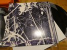 Thou Shalt Suffer – Into The Woods Of Belial - 2 LP