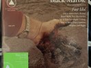 Black Marble Fast Idol Neon Green Black Splatter Clear Vinyl 2021 SOLD OUT