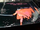 BLACK SABBATH grand funk TAIWAN   1970  LP RARE