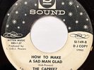 CAPREEZ How to Make a Glad Man Sad GROUP NORTHERN SOUL PROMO 45 *hear*
