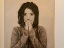 Björk- Debut Vinyl 12” LP SEALED M condition