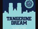 Tangerine Dream - Live At The Reims Cathedral (Vinyl 2LP - 2021 - EU - Reissue)