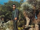 Roy Montelongo “Carinito De Mi Vida” Tejano Tex Mex Record Lp