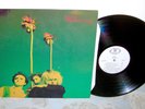 THE GUN CLUB Miami LP Very Early 2nd Press 1982 Orig White Animal Label Punk NM