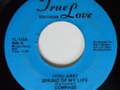 45 Modern Soul COMPASS (You Are) Spring Of My Life TRUE LOVE HEAR
