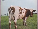 PINK FLOYD - ATOM HEART MOTHER - VINYL LP ITALY 1970 VG+/EX