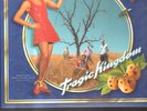 No Doubt – Tragic Kingdom LP yellow vinyl