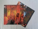 W.A.S.P. - Live in the Raw - German Import LP + OIS (M6)