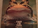 Froggie Beaver - From The Pond LP - Froggie Beaver - Private Prog Psych VG+