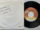 LED ZEPPELIN 'Fool In The Rain / Hot Dog' 1979 Dutch 7