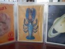 The B-52s SET OF 3 RECTANGULAR PICTURE DISCS FIRST DAY MINT ROCK LOBSTER CLAIRE