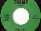 Lee Stone (4) - What Is Life, 7