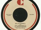 Big Lee Dowell And The Cannonballs (3) Feat. Maxim Moston - What I Done Wrong,