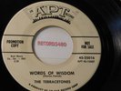 PROMO 45 The Terracetones 