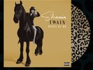 Shania Twain - Queen Of Me - Limited Edition GOLD LEOPARD Picture Disc Vinyl LP