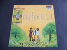 Sunforest - Sound Of Sunforest 1969 UK LP DERAM NOVA STEREO 1st PSYCH ACID FOLK