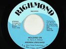 Modern Soul Funk 45 - Andrew Lewis Band - Holding On - Richmond - VG++ mp3
