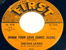 The Five Satins - When Your Love Comes Along / Skippity Doo 45 - Doo Wop