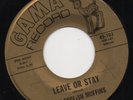 THE ENGLISH MUFFINS leave or stay*it's my pride 1966 US GAMA FUZZ GARAGE 45