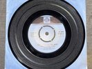 The Bloom-Fields The Loner / Homing In On The Next Trade Wind 7” Single PYE 1972