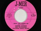 Northern/Deep Soul 45 - Johnnie Jackson - What You Gonna Do - J-MER - VG+ mp3