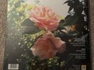 New Found Glory 'Make The Most Of It' Vinyl (Violet /300 RevHQ) UNOPENED