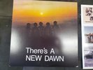 Vinyl LP  THE NEW DAWN  * THERE's A NEW DAWN *  1970 Jackpot Records VG ++
