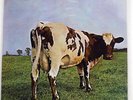 PINK FLOYD ATOM HEART MOTHER EMI EMS80320 JAPAN VINYL LP