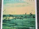 Ryan Adams - 1989 Vinyl Record 2xLP BLACK 2015 Taylor Swift
