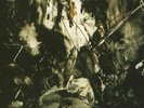 Fields Of The Nephilim: Elizium [30th Anniversary Edition] Green Vinyl LP (2020)