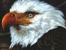 MOGWAI - THE HAWK IS HOWLING (2 LP) NEW VINYL