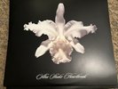 A-Ha Shake Heartbreak by Kings of Leon (Record, 2017)