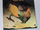 Rare Bird: Self-Titled (Vinyl LP, 1970) ABC CPLP-4514-S, Reissue, Gatefold, VG