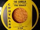 THE IDEALS The Gorilla CORTLAND C-110