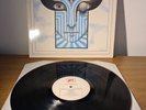 The Chameleons What Does Anything Mean Basically SIGNED LP Vinyl 1985