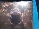 Dermot Kennedy Keep The evenings Long Vinyl EP 2018 SEALED